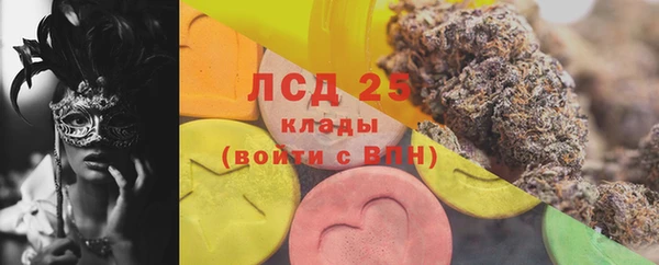 mdpv Краснослободск