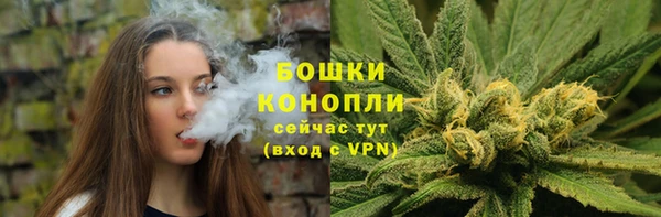 гашик Костерёво