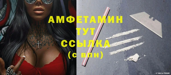 гашик Костерёво